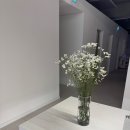 라넌클의원 이미지