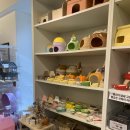 골든햄스터분양 탬펫 이미지