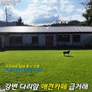덕정소하천정비사업 | NO.61227.포천카페매매,애견카페매매,반려견카페,애견카페임대,반려견카페급매