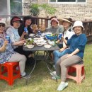 경숙농장 이미지