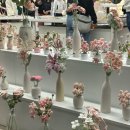🍃봄 경주 힐링여행 | 숙소 <소여정> (경주 감성숙소 추천, 내돈내산 후기) • 소소한 먹거리 구경👀