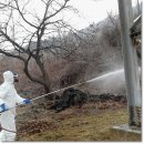 한국환경방역공사 이미지