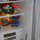 낙지가와 이미지