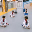 솔빛태권스쿨 이미지