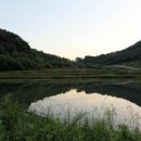 개곡지 Daum카페