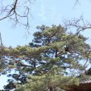 보길면-2 이미지