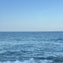 황가네 오리전문점 | [강원도당일치기] 양양 현지인맛집 한계령찜전문점 가오리찜 - 예약, 메뉴판, 주차정보 (+시드누아 속초...