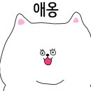 하이필스킨