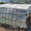 효촌1리마을회관 이미지