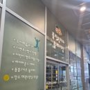 플라잉치타플레이짐
