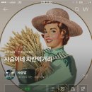 차칸먹거리