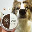 포에버퍼피 이미지