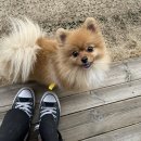 최우식동물병원 이미지