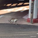 효창목길 31 네이버블로그