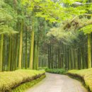 하추자연휴양림 이미지