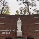 요셉성형외과의원 이미지