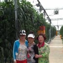 대곡농장 이미지