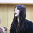 로로시 Daum카페