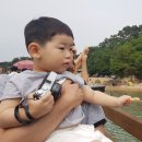 궁평리어촌계 부녀회식당 네이버블로그