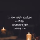 [ICB MDS 8-04-1] 요한복음 1장 4절 이미지