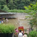 이집이좋겠네 2호점 이미지