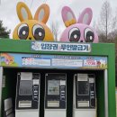 여우꼬리 노래연습장 | [창녕 아이와 가볼만한곳] 21개월 아기도 대만족! 토끼 천국 '산토끼노래동산' 방문기 🐰