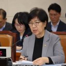 감사나무 이미지