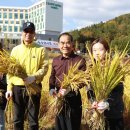 김인식농장 이미지