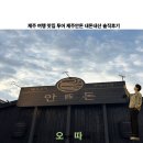 제주 여행 맛집 투어 안돈오마카세 내돈내산 솔직후기