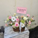 모아꽃방 이미지