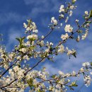 모라식당 이미지