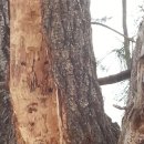 태평농장 이미지