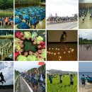 더두드림 이미지