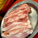 달봉이목장 | [제주 남원 맛집][제주 남부 맛집] 똥파리와 달봉이🙂