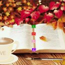 감삼동341 이미지