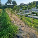 사정농장 이미지