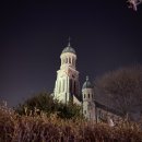 (주)여행온
