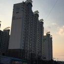 비래서로 이미지