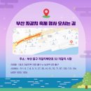 부산자갈치 이미지