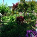 산대월리 이미지