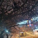 카카오텔 이미지