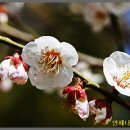 원동농장 이미지