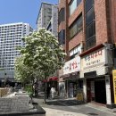 도마위에 암소 이미지