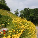 [ 제986회 건강걷기 안내 ] 5월 11일 (목) 일자산 숲길 허브공원 이미지