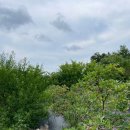 유명농장 이미지