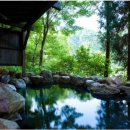 더 료칸 이미지