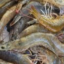 상무식육식당 이미지