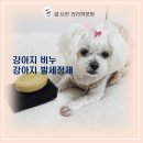 더옐로soap | 발사탕 핥는 아이를 위한 강아지 발세정제, 아인솝 옐로우 팩 스파비누