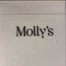 몰리스펫샵 센텀 이미지