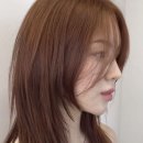 컷&컬러